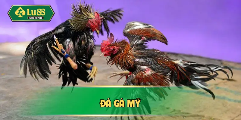 da-ga-my