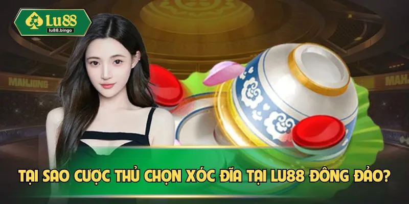 Xóc Đĩa – Trò Chơi Kịch Tính Lôi Cuốn Mọi Ánh Nhìn Tại sao cược thủ chọn xóc đĩa tại LU88 đông đảo?